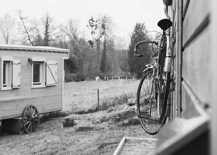 Roulottes Et Son Kota Grill Sauna