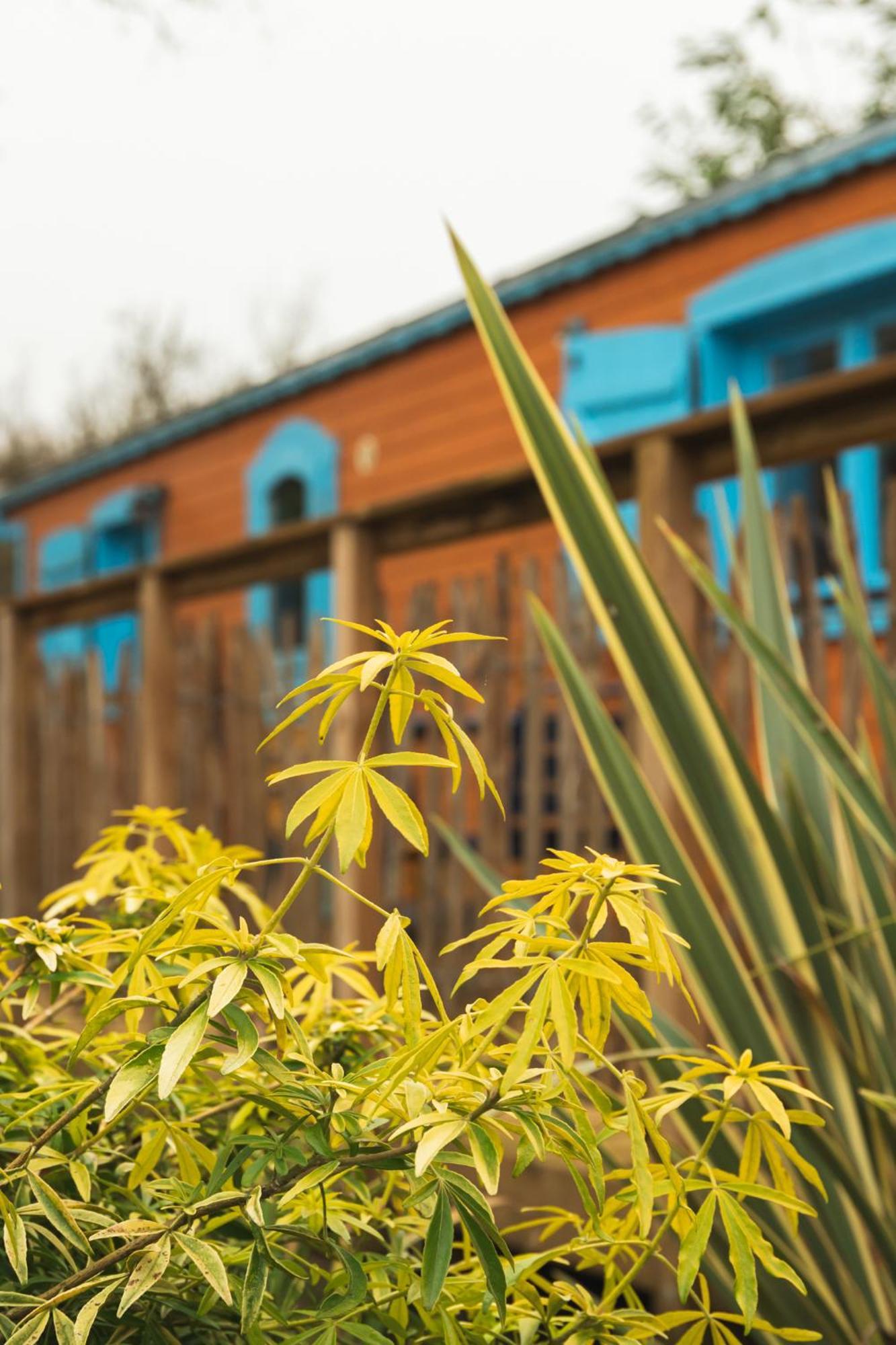 Campsite Roulottes Et Son Kota Grill Sauna Bucilly